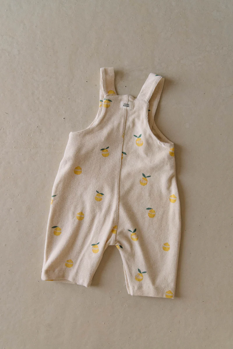 Overall Homer Terry