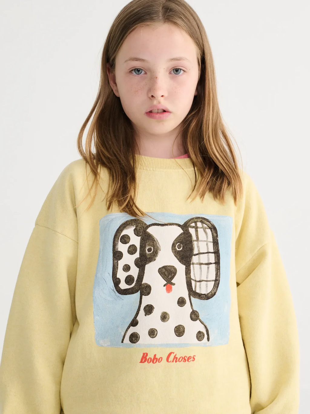 Van Dog sweatshirt